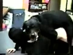 In this disgusting amateur animal fetish video, a married Kinky non-professional tramp copulates a dog.